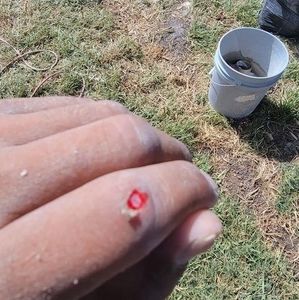 Meet your Posher, Javier